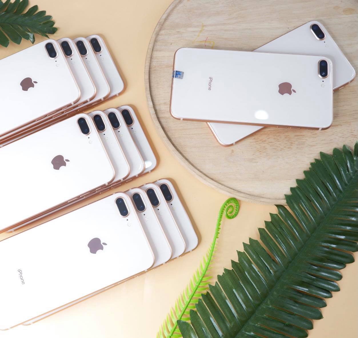 Những Chiếc iPhone Vẫn Được Săn Đón Năm 2021